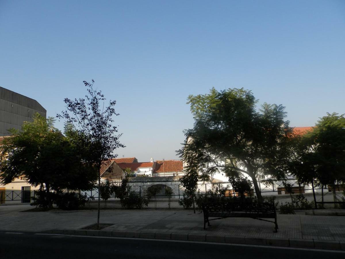 El Olivar Caces Esterno foto