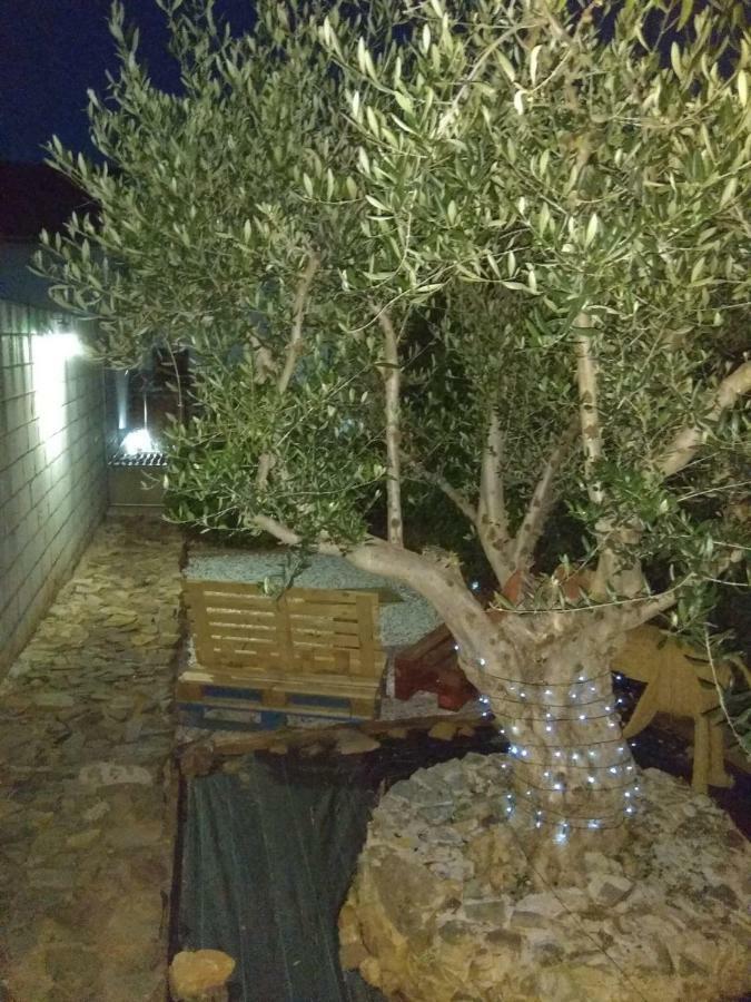 El Olivar Caces Esterno foto